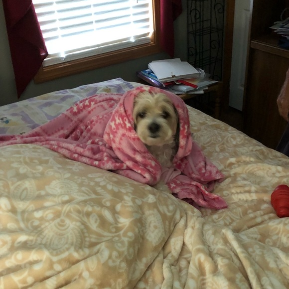 My Best Friend Forever In My Heart 💕 - Picture 15 of 17